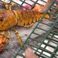 Lobster langka, warnanya seprti sudah dipanggang. (WTNH)