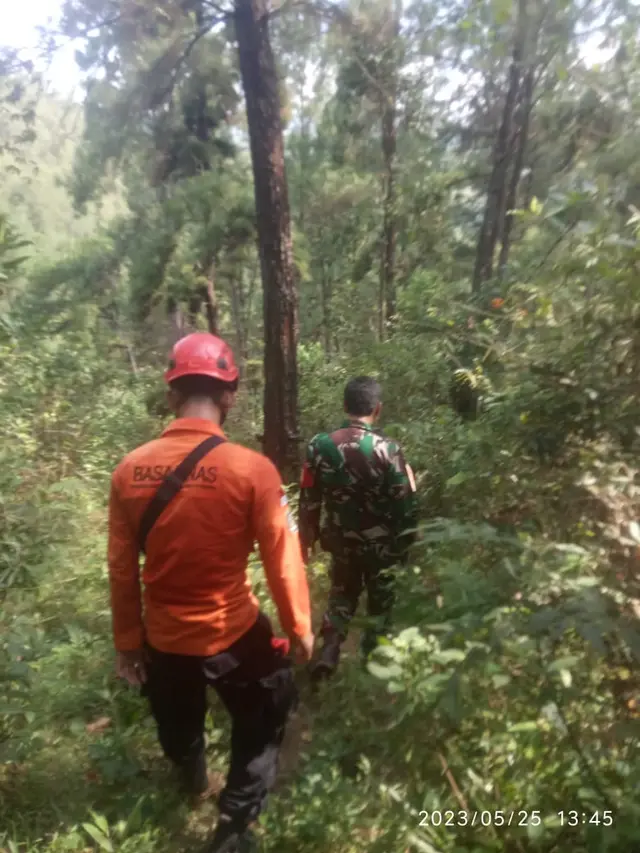 Pencarian orang hilang di Hutan Cikukur, Brebes, Jawa Tengah. (Foto: Liputan6.com/Basarnas)