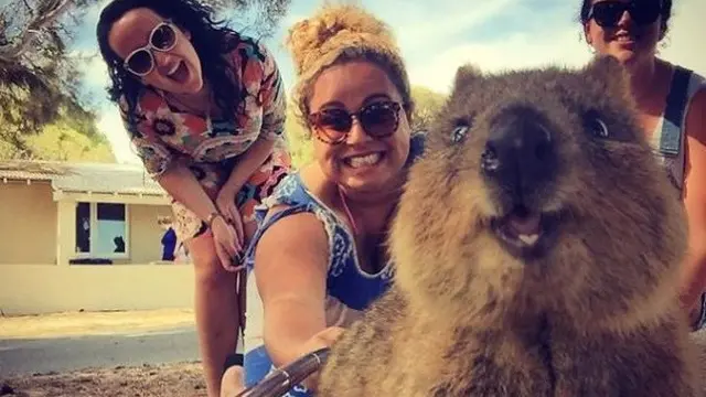 Gemas Banget, 6 Aksi Selfie Bersama Hewan Lucu