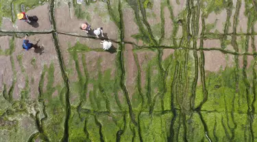 Pemandangan dari udara menunjukkan turis lokal mengunjungi Laomei Green Reef di Distrik Shimen Kota New Taipei (12/4/2022). Terletak tepat di pinggiran Laomei, sebuah desa nelayan kecil di Distrik Shimen New Taipei City, Laomei Reef adalah salah satu tempat wisata yang menakjubkan. (AFP/Sam Yeh)