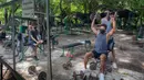 Sejumlah pria berolahraga di gym luar ruangan di sebuah taman di Bangkok, Thailand, Rabu (10/6/2020). Pelonggaran pembatasan diberlakukan beberapa minggu lalu untuk memerangi penyebaran COVID-19. (AP Photo/Gemunu Amarasinghe)