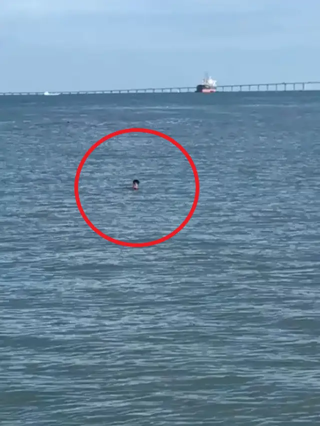 Tidak Dapat Surat Jalan, Pria Ini Nekat Sebrangi Selat dengan Berenang. (Sumber: Worldofbuzz)