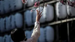 Jepang mengumumkan dimulainya musim bunga sakura di Tokyo pada 14 Maret, 10 hari lebih awal dari biasanya, dan rekor mekarnya bunga sakura lebih awal yang hanya pernah terjadi dua kali sebelumnya. (Photo by Richard A. Brooks / AFP)