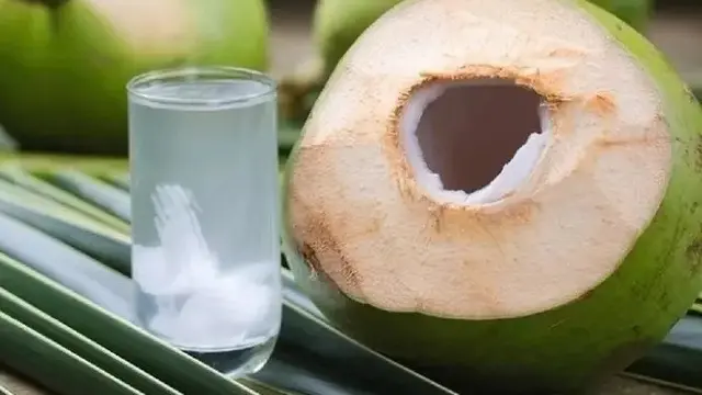 Ilustrasi Kelapa Muda (Sumber: Pixabay)