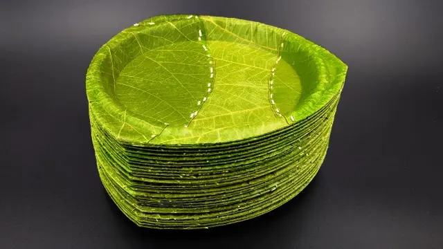 Leaf Republic - Startup Jerman Pembuat Piring dari Daun