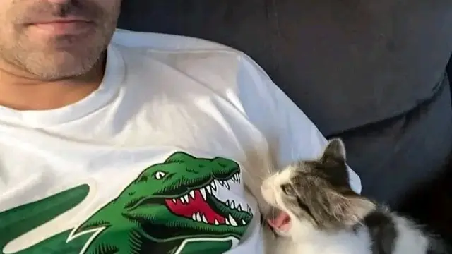 7 Momen Tepat Saat Mengambil Foto Kucing Ini Hasilnya Kocak