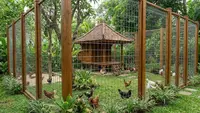 9 Desain Kandang Ayam Kombinasi Kayu dan Kawat Galvanis Premium, Anti Karat dan Modern