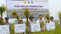 Wujudkan Indonesia Swasembada, Kementan dan Provinsi Banten Kembangkan Padi Varietas Biosalin untuk Wilayah Pesisir/Istimewa.