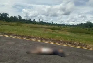 jenazah pilot dan co p[ilot pesawat smart air yang ditembak di Boven Digoel Papua. (istimewa)