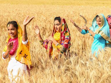 Pemuda Sikh menampilkan tarian tradisional rakyat Punjab atau Bhangra jelang festival panen Baisakhi di ladang gandum pinggiran Amritsar, India, 11 April 2021. Baisakhi adalah festival yang dirayakan di seluruh India utara, terutama di wilayah Punjab oleh komunitas Sikh. (NARINDER NANU/AFP)