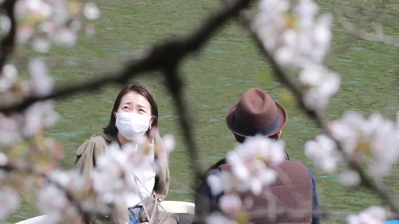 Sakura di Tokyo