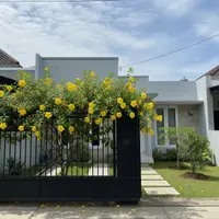 Tanaman Rambat Selain Labu yang Cocok Ditanam di Pagar Besi. (Foto: AI)