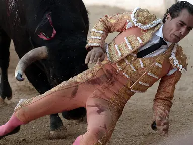 Seorang matador, Ivan Fandino ditanduk oleh banteng lawannya saat tampil dalam sebuah arena di Mont-de-Marsan, Prancis barat daya, Sabtu (17/6). Fandino tak kuasa menghindar dari tandukan banteng setelah tersandung kain jubahnya sendiri. (IROZ GAIZKA/AFP)