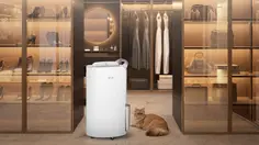 Tips Memilih Dehumidifier untuk Cegah Jamur, Bau Apek, dan Udara Lembap yang Ganggu Kesehatan