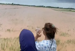 Banjir merendam sawah di Jepara. (Liputan6.com/Arief Pramono)
