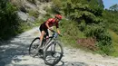 Rohit Thakur dari India bersaing dalam lomba sepeda gunung Himalaya MTB di dekat Mandi, Himachal Pradesh, India utara (4/10). Lomba ini berlangsung selama delapan tahap di kaki pegunungan Himalaya. (AFP Photo/Sajjad Hussain)