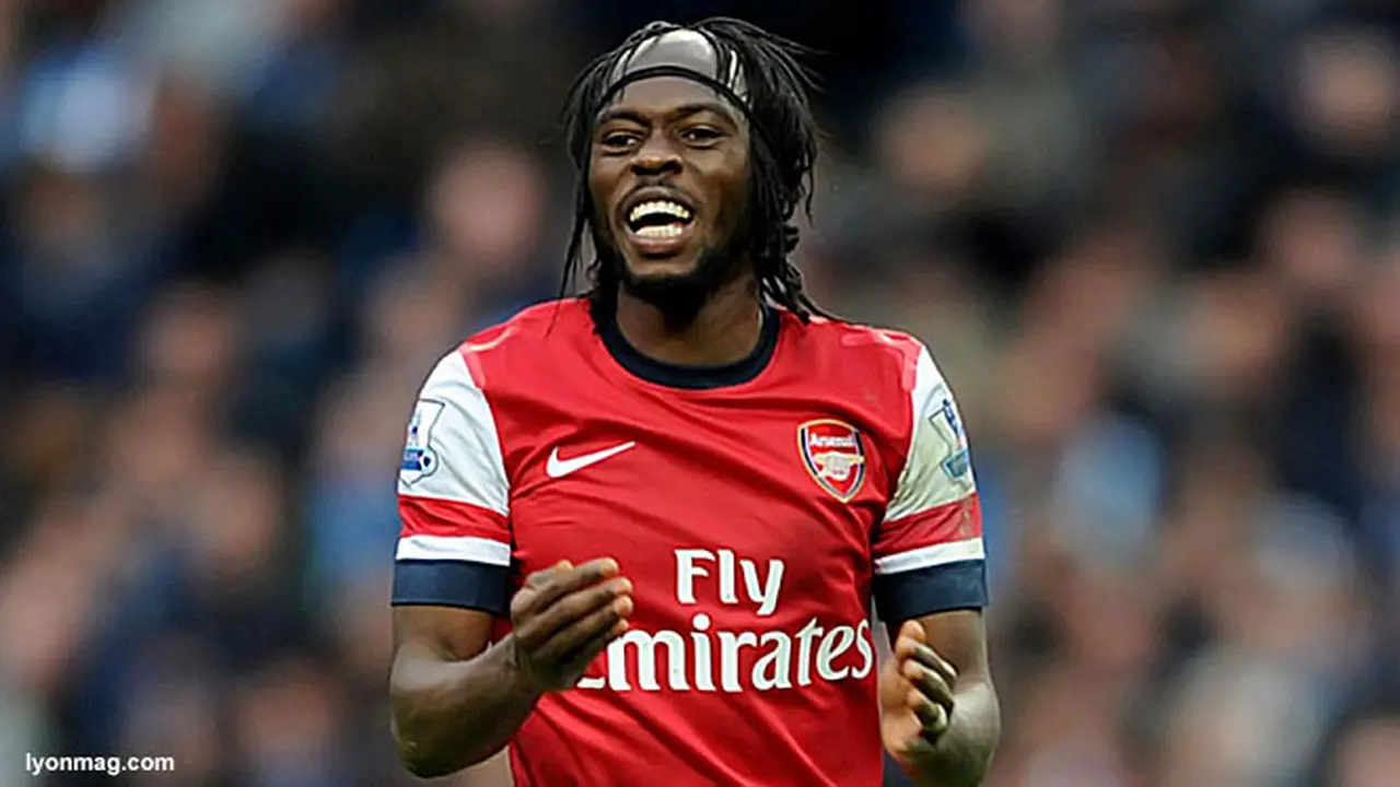 gervinho-130802c.jpg