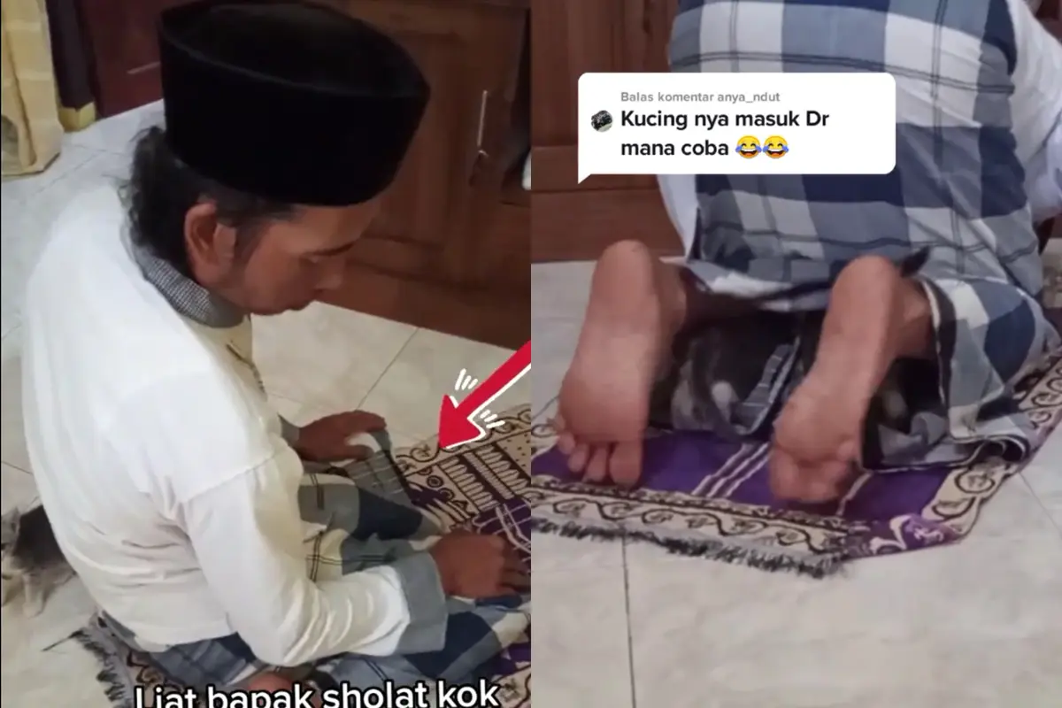 Ulah kucing masuk sajadah