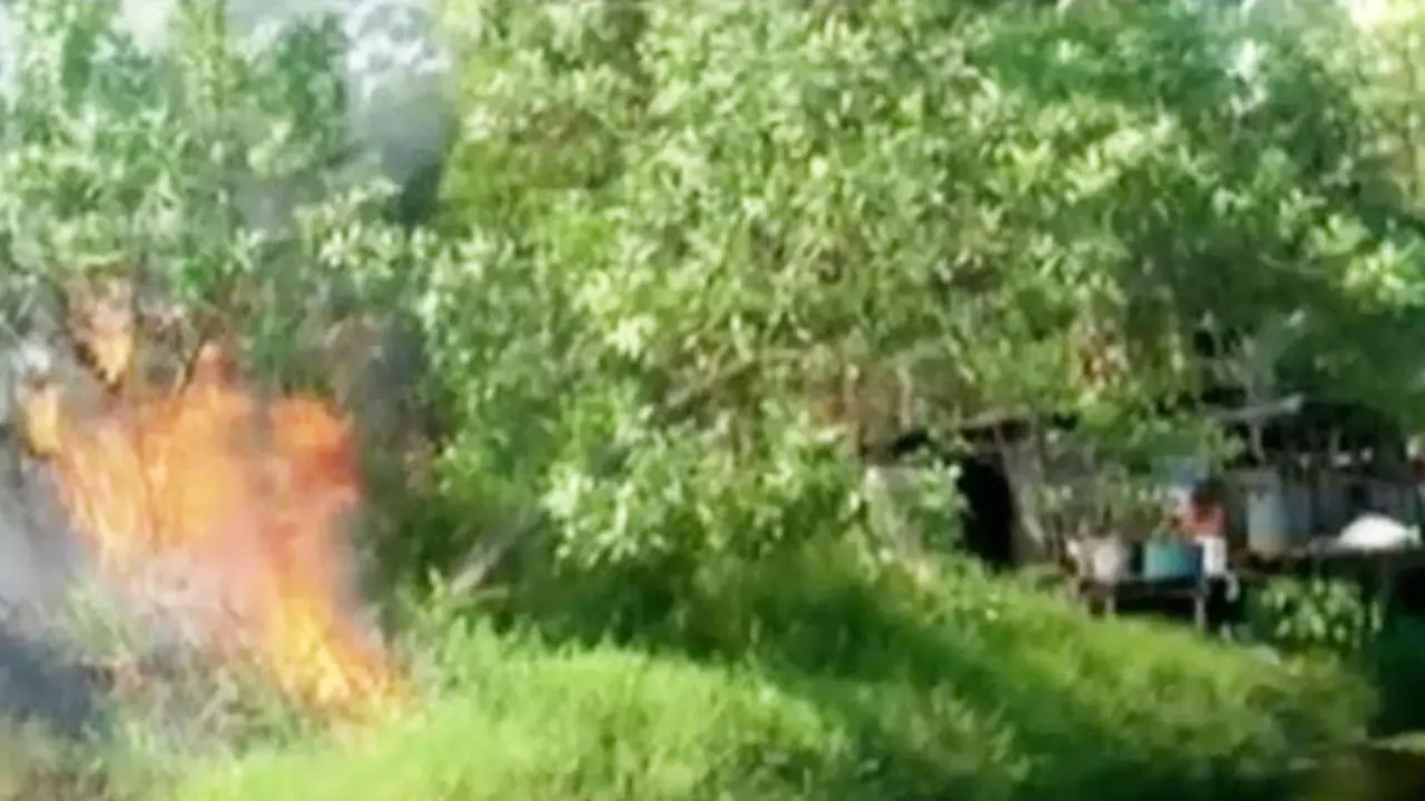 Kebakaran Lahan di Palangka Raya Merembet ke Peternakan Warga