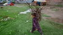 Bocah pengembara Kashmir Bakarwal membawa kayu bakar dari ladang terdekat di luar kamp sementara di pinggiran Srinagar, India, 31 Agustus 2020.  Suku Bakarwals adalah kaum penggembala nomaden di Jammu Kashmir, yang mengembara mencari padang rumput yang baik untuk ternak mereka. (AP Photo/Dar Yasin)