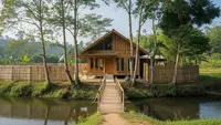 15 Pohon Buah yang Cocok untuk Rumah Dekat Sungai dan Tanah Lembap