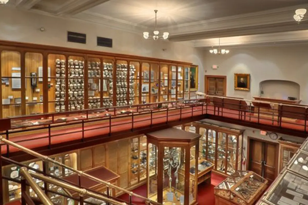 Museum Mutter di Philadelpia