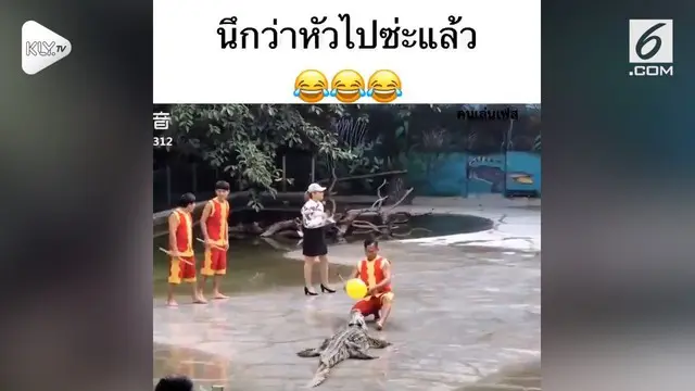 Awalnya atraksi buaya di sebuah kebun binatang di Thailand ini cukup menegangkan. Namun bukannya tegang, atraksi ini malah jadi bahan tertawaan. Kenapa ya?
