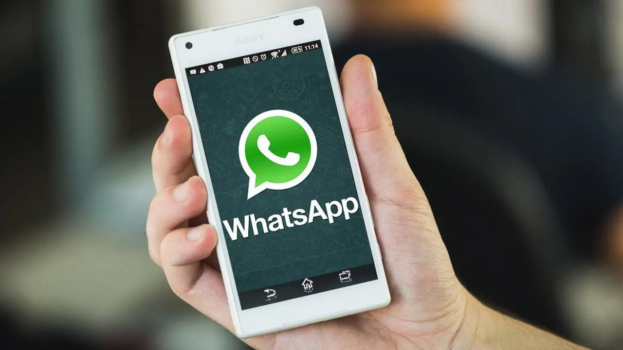 Ini Dia Fitur Baru dari WhatsApp