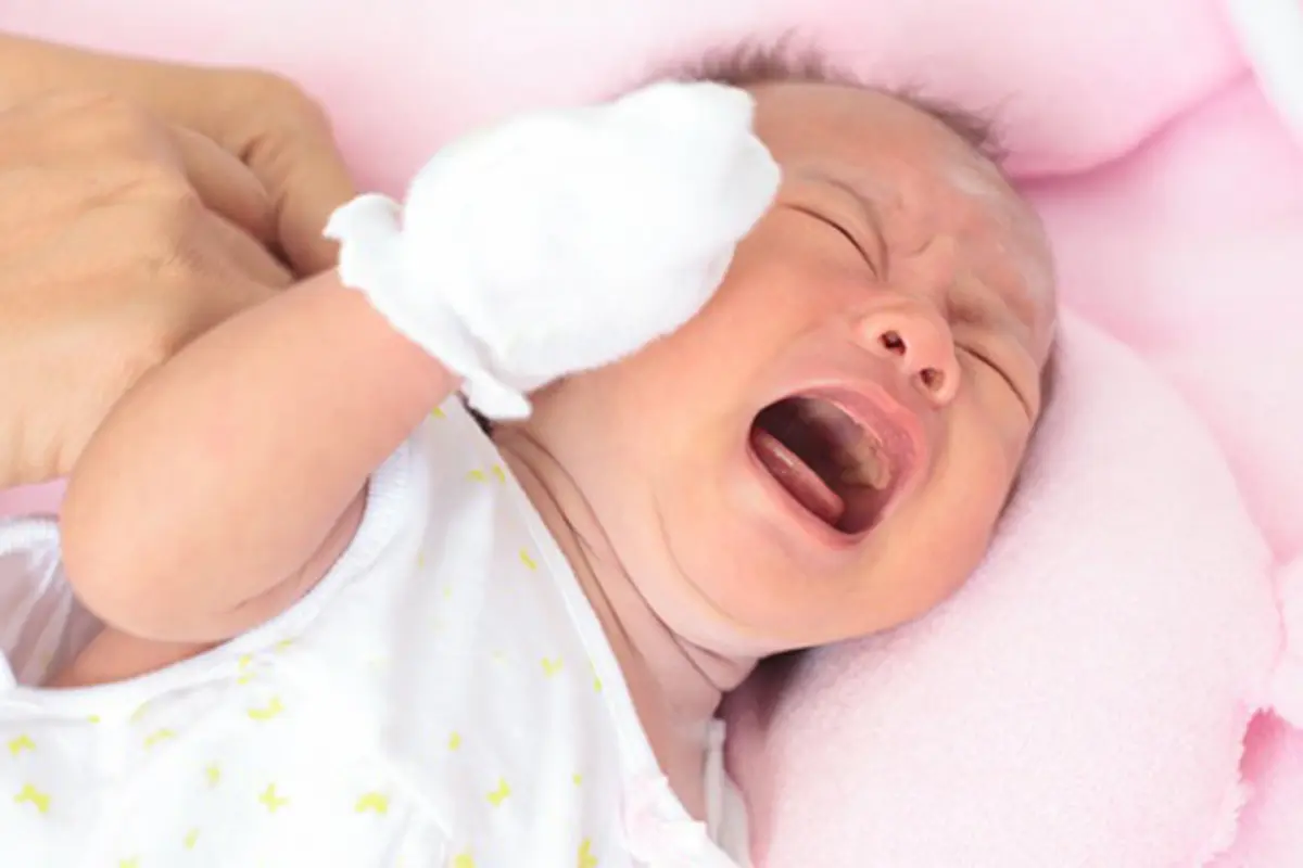 Photo copyright Shutterstock.com