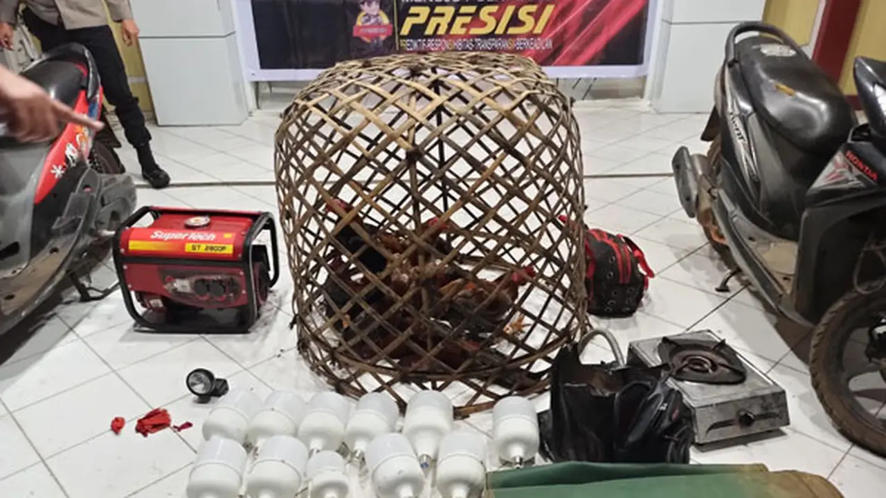Barang bukti yang diamankan aparat Polres Tomohon dari lokasi judi sabung ayam.