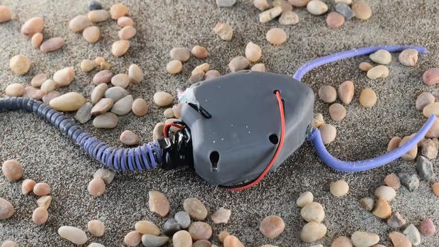 Robot Unik Mirip Makhluk Aneh Berusia 450 Juta Tahun