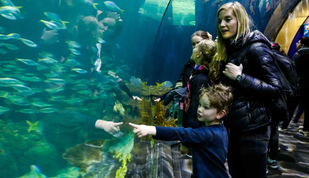 Orang-orang mengunjungi Shedd Aquarium di Chicago, Amerika Serikat (17/2/2020). Shedd Aquarium  memiliki koleksi 32.000 ekor binatang dan menarik sekitar 2 juta pengunjung setiap tahun. (Xinhua/Joel Lerner)