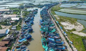 Pemandangan udara menunjukkan kapal-kapal nelayan berlabuh di Pelabuhan Juwana, Jawa Tengah, Rabu 6 Mei 2026. Kenaikan harga Bahan Bakar Minyak (BBM) diesel nonsubsidi (solar industri) per 4 Mei 2026, menyebabkan ribuan nelayan, khususnya di wilayah Pantura (Indramayu dan Pati), tidak dapat melaut. (Devi RAHMAN/AFP)