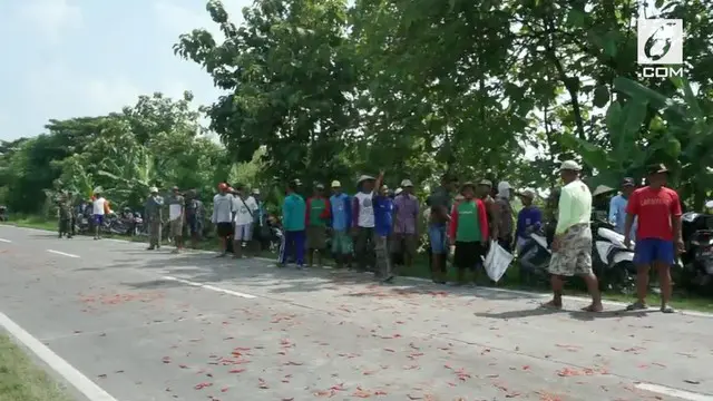 Para petani di Demak nekat membuang cabai hasil panen ke jalan raya lantaran harganya yang terlalu murah.