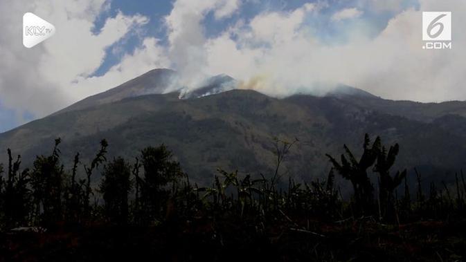8600 Hantu Gunung Merbabu HD Terbaik