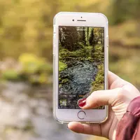 Ilustrasi Instagram | Rottona/Pixabay.com