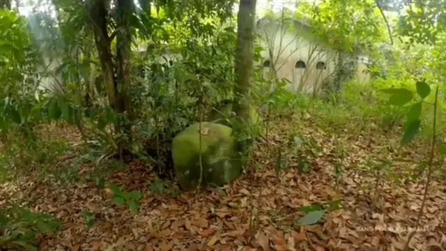 Suasana Mencekam Rumah Artis Senior Terbengkalai 30an Tahun, Ada Kuburan Korban Banjir Bandang di Halamannya