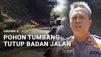 Pohon Tumbang Tutup Badan Jalan