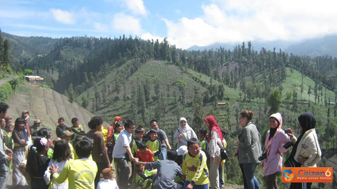 pbromo.jpg