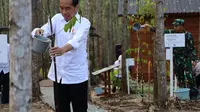 Presiden Joko Widodo saat melakukan penanaman dan peninjauan lokasi Miniatur Hutan Hutan Tropis Nusantara, Rabu (20/12/2023). (Foto: Istimewa)