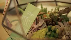 Sejak 2014, Dih Sing Mahadi dan Arlyna Pandjaitan memulai bisnis pembuatan taman mini indah berjuluk Grow Little Garden.