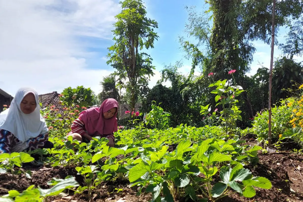 (Foto: Dok Istimewa)