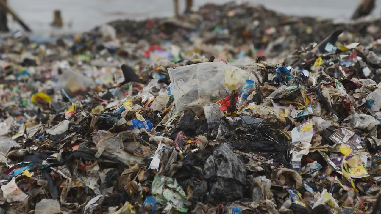 Hamparan Sampah Penuhi Muara Angke Bak Pulau di Atas Laut