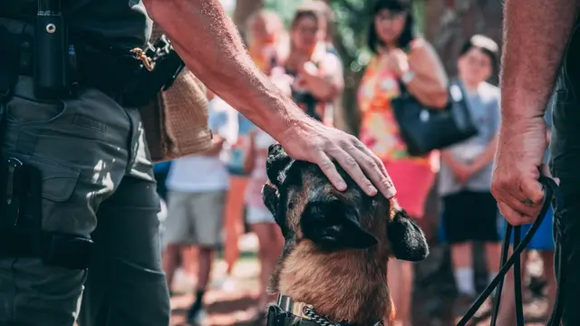 ilustrasi anjing polisi (Unsplash)
