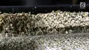 Bahan baku kedelai untuk pembuatan tempe, Kemayoran, Jakarta, Kamis (6/9). Harga bahan baku kedelai untuk produksi tempe meningkat dari Rp 6.500 menjadi Rp 7.700 pascanilai tukar dolar mengalami kenaikan terhadap rupiah. (Liputan6.com/Herman Zakharia)