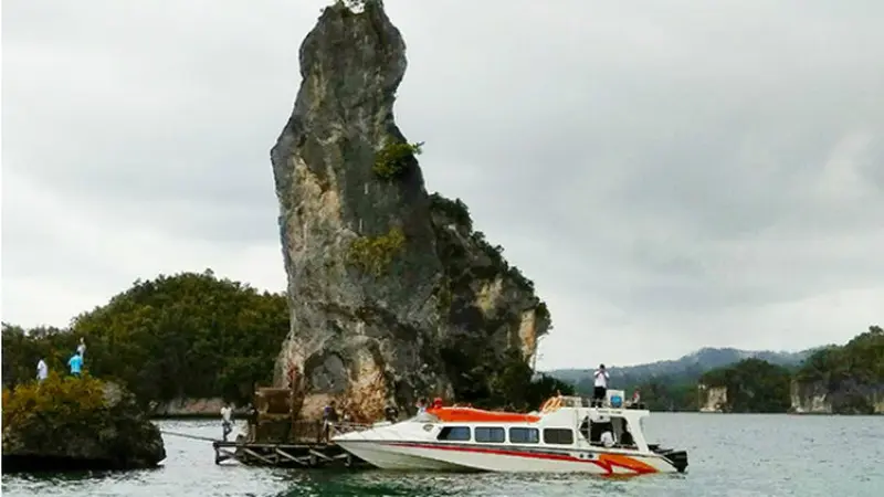 Pulau Waigeo Raja Ampat