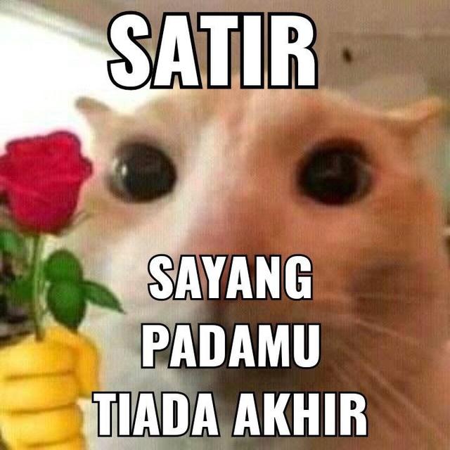 6 Meme Singkatan Kata Familiar Ini Nyeleneh, Maknanya Jadi Kocak