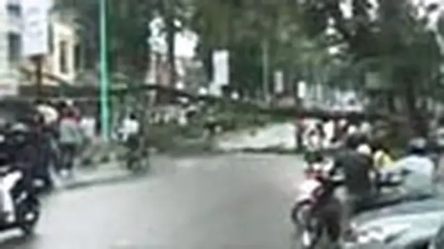Pohon Tumbang, Aliran Listrik Terputus di Jambi