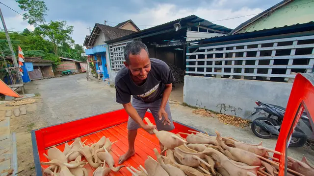 Patung Bebek dari Bonggol Bambu di Ceper Klaten