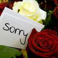 Rahasia untuk meyakinkan hati wanita agar memaafkan kekasihnya. (Foto: spyderonlines.com)